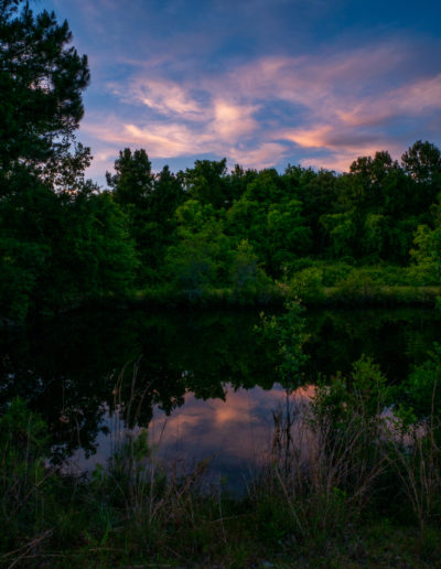 Reflections in the Pond